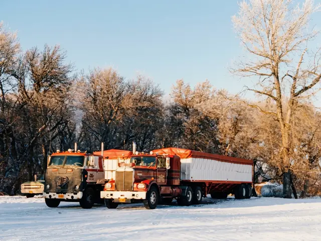 Bulk freight trucks lined up in winter